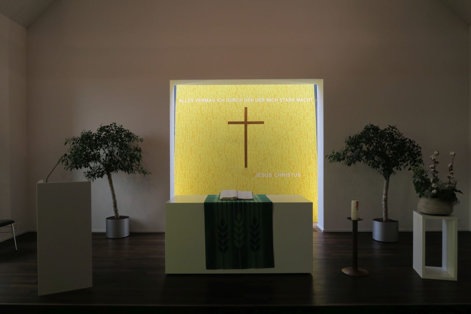 Küssnacht am Rigi Reformierte Kirche Innenansicht (5) Orgel